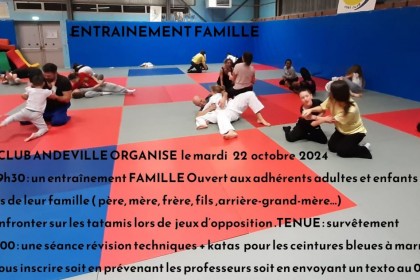 stage de judo à Chambly