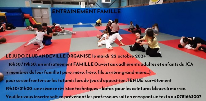 Image de l'actu 'stage de judo à Chambly'