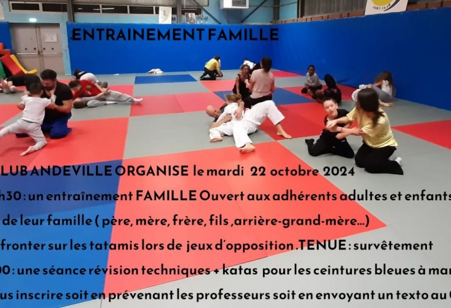 stage de judo à Chambly